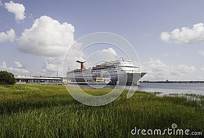 Cruise Ship Docked Beyond Green Marsh Stock Photo