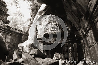 Crumbling Ta Prohm ruin Stock Photo