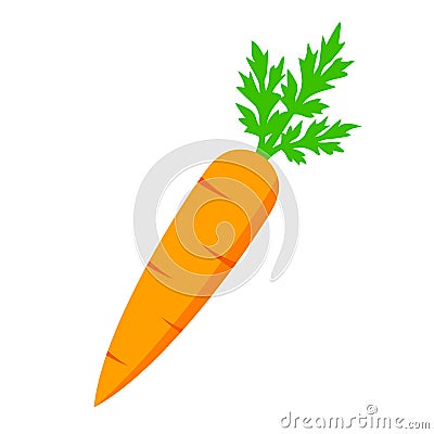 Crunchy carrot vector icon Vector Illustration