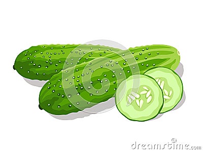 Crunchy cucumber Vector Illustration