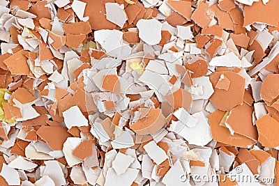 Crushed egg shells Stock Photo