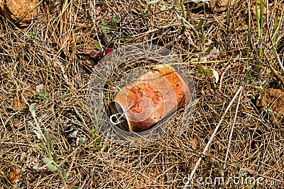 Crushed rusty aluminum can lying on ground in forest Stock Photo