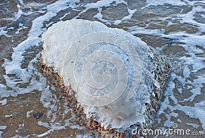 Crust of ice on a stone, a close up. Stock Photo