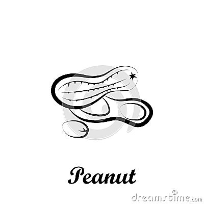 Crustaceans, fruit, peanut icon. Element of Crustaceans icon. Hand drawn icon for website design and development, app development Stock Photo