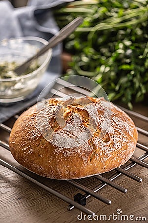 Crusty homemade yeast bread baked to perfection cooling down on metal griddle Stock Photo