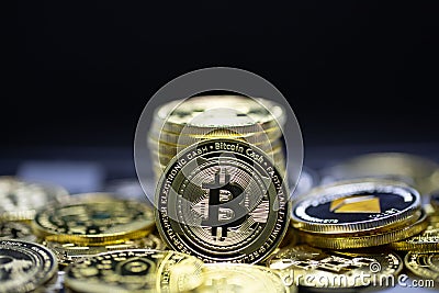 Cryptocurrency bitcoin the future coin, new virtual money. The growth rate of the gold coin is the important currency for pay Editorial Stock Photo