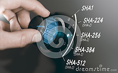 Cryptography Concept, Cryptographic Hash Algorithm SHA-2 Stock Photo