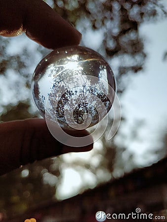Crystal ball showing the nature Stock Photo