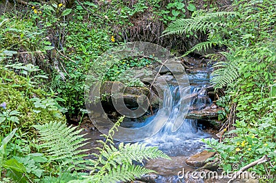 Crystal clean little creek , small waterfall scenic view Stock Photo