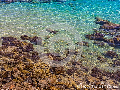 Crystal clear blue water - caustics effect - rocky shore Stock Photo