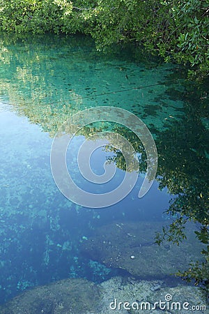 Crystal clear cenote sink hole turquoise water underwater rocks and tree edge Stock Photo