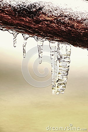 Crystal clear water icicles hand on tree above stream Stock Photo