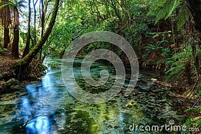 The Crystal Clear Waters of Hamurana Springs, NZ Stock Photo