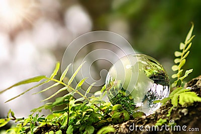 crystal globe glass resting on moss stone with sunshine in nature forset. eco environment concept Stock Photo