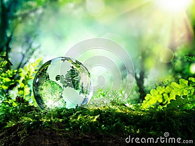 Crystal globe on moss in a forest Stock Photo