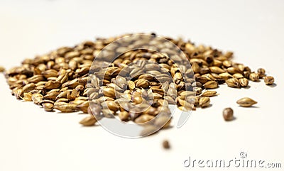 Crystal malt Stock Photo