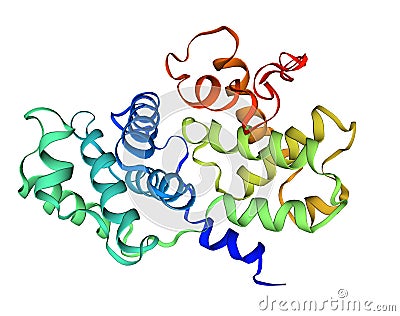 Crystal structure of human cyclin B1 Stock Photo