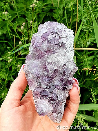 Crystal in Woman Hand : Amethist Amethyst Gems Uncut Raw Stones Gems Pink Nails Purple Lila Stone in Nature Gemstones Colors Ring Stock Photo