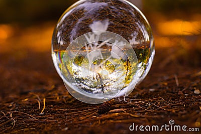 crystall ball on the ground with orange autumn leafs autumn scenery Stock Photo