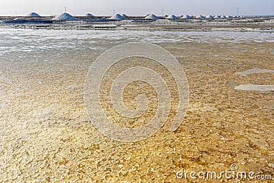 Crystals salt on Sambhar Salt Lake. India Stock Photo