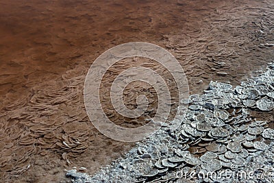 Crystals of self-precipitating salt precipitated to the bottom and shore in the hypersaline Kuyalnitsky Estuary, an ecological Stock Photo