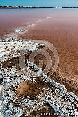 Crystals of self-sedimentary salt in the form of rounded formations in the hypersaline Kuyalnitsky estuary, an ecological disaster Stock Photo