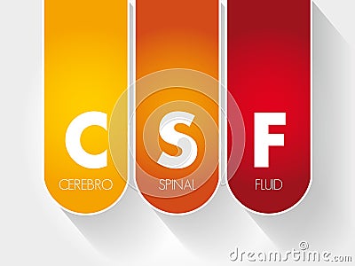 CSF - cerebrospinal fluid acronym Stock Photo