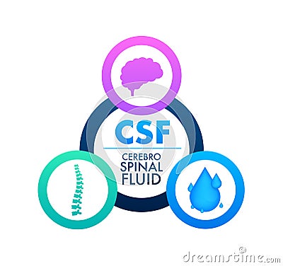 CSF - cerebrospinal fluid. Medical concept. Vector stock illustration. Vector Illustration