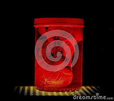 Cthulhu Mythos Elder God of Chaos by H.P. Lovecraft in a jar Stock Photo