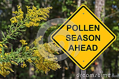 Cuation - Pollen Season Ahead Stock Photo