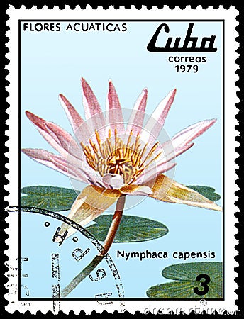 CUBA - CIRCA 1979: A stamp, printed in Cuba, shows a Nymphaea capensis, series water lilies Editorial Stock Photo