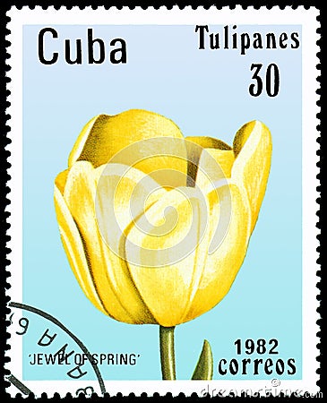 CUBA - CIRCA 1982: postage stamp printed in Cuba shows a tulip Jewel of Spring Editorial Stock Photo