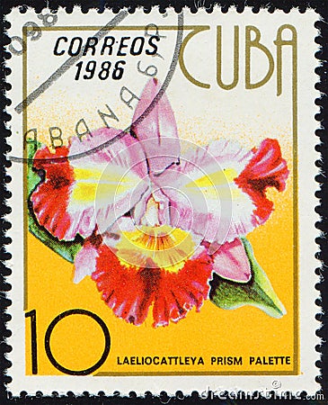 CUBA - CIRCA 1986: stamp 10 Cuban centavo printed by Republic of Cuba, shows flowering plant Laeliocattleya prism palette Editorial Stock Photo