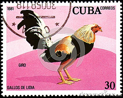 CUBA - CIRCA 1981: A stamp printed by Cuba shows the Giro Editorial Stock Photo