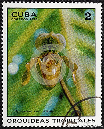 CUBA - CIRCA 1973: A stamp printed in the CUBA, shows Cypripedium exul O'Brien. Editorial Stock Photo