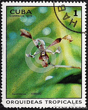 CUBA - CIRCA 1973: A stamp printed in the CUBA, shows Dendrobium Hibrido. Editorial Stock Photo