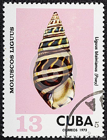 CUBA - CIRCA 1973: A stamp printed in Cuba shows Liguus blainianus, series Clams Liguus . Editorial Stock Photo