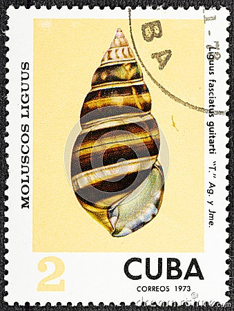 CUBA - CIRCA 1973: A stamp printed in Cuba shows Liguus fasciatus guitarti, series Clams Liguus . Editorial Stock Photo