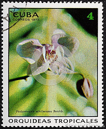 CUBA - CIRCA 1973: A stamp printed in the CUBA, shows Phalaenopsis schilleriana Reichb. Editorial Stock Photo