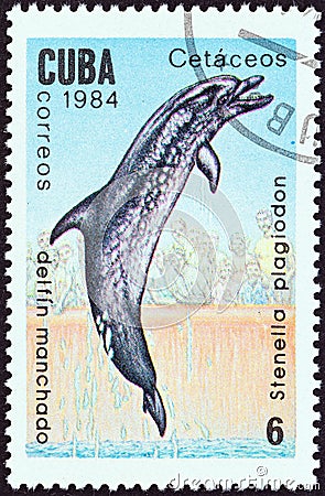 CUBA - CIRCA 1984: A stamp printed in Cuba from the `Whales and Dolphins` issue shows Spotted dolphin, circa 1984. Editorial Stock Photo