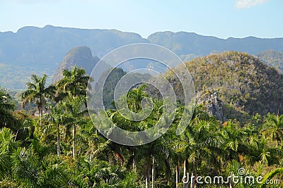 Cuba - Vinales National Park Stock Photo