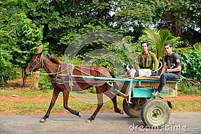 Cuban farmers riding a horse-drawn carriage Editorial Stock Photo