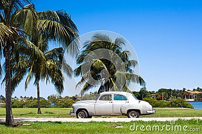 Cuba white classic cars under palms Stock Photo