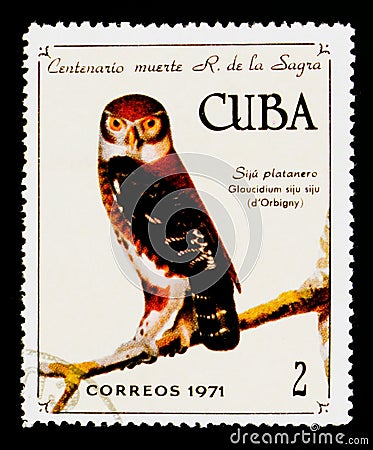 Cuban Pygmy Owl (Glaucidium siju), 100th ann. of death of R. de La Sagra serie, circa 1971 Editorial Stock Photo