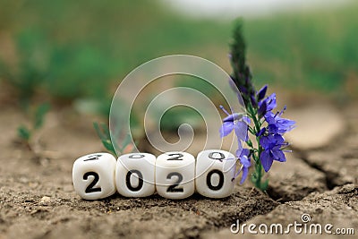 Cubes on the ground next to a flower, on the cubes numbers 2020 Stock Photo