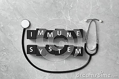 Cubes with words Immune System and stethoscope on light grey table, flat lay Stock Photo