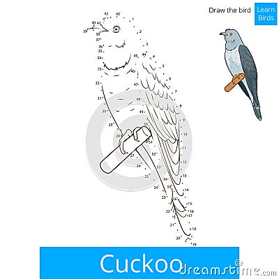 Cuckoo bird learn to draw vector Vector Illustration