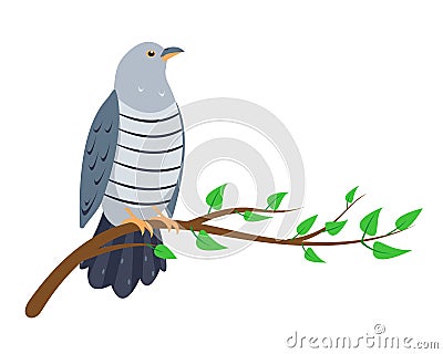 Cuckoo bird sitting on tree branch isolated Vector Illustration