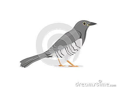 Cuckoo Bird Stand Still Vector Illustration Vector Illustration