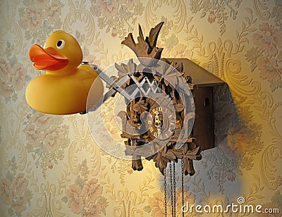 Cuckoo Clock with rubber duck Stock Photo